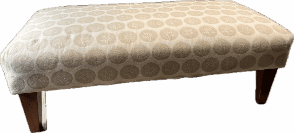 Upholstered Coastal Bench