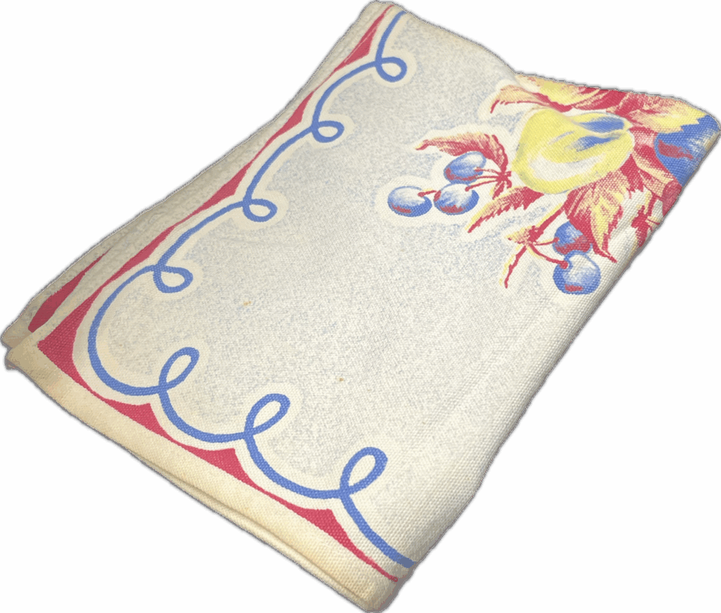Primary Color Fruit Dish Towel