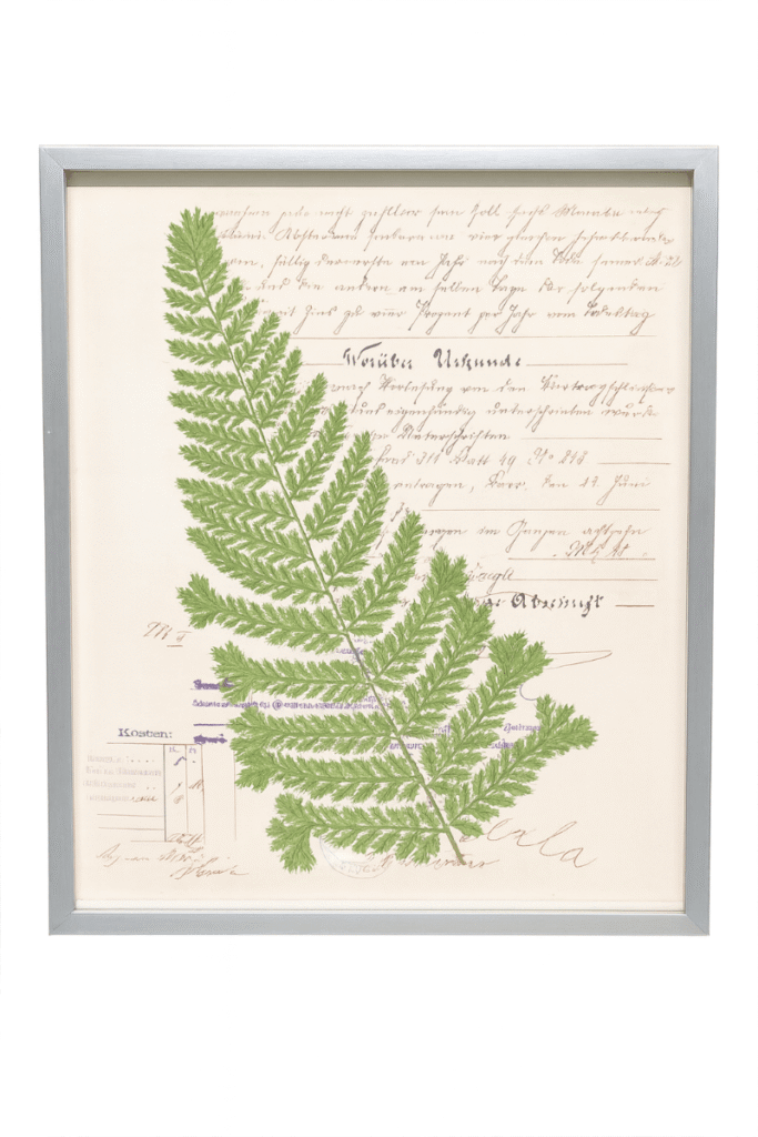 Green Fern Print