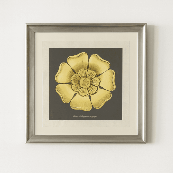 Yellow Flower Drawing Print