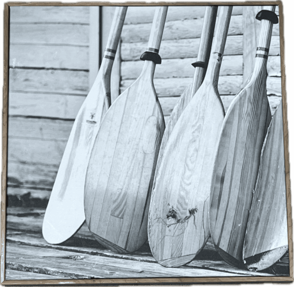 Oars Print