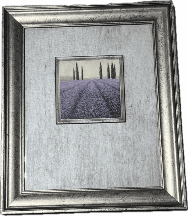 Lavender Fields Print