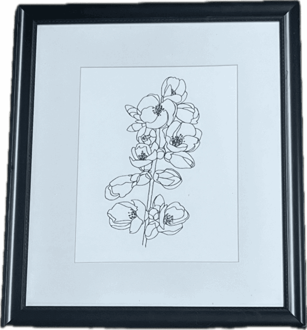 Quince Blossom Contour I by Emma Scarvey