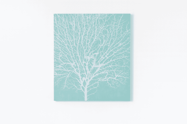 Seaweed on Aqua II by Vision Studio