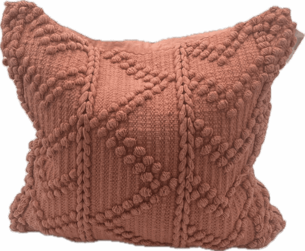 Salmon Pulled Knot Geometric Pillow
