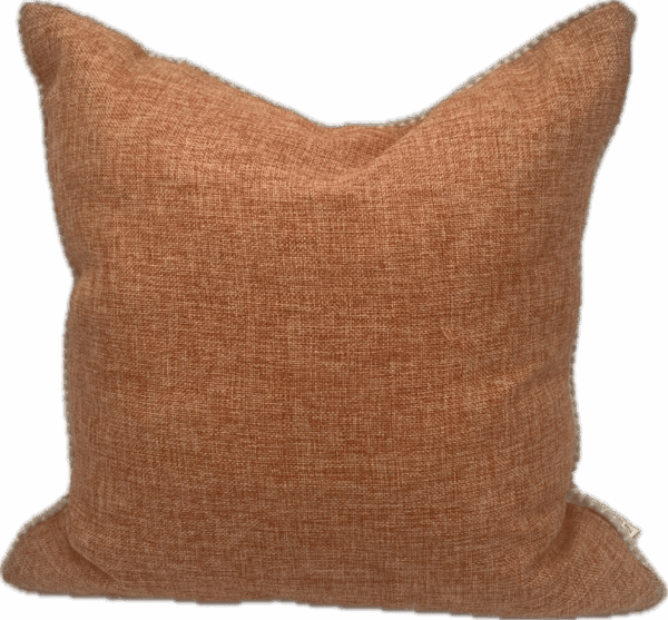 Orange Corded Trim Pillow