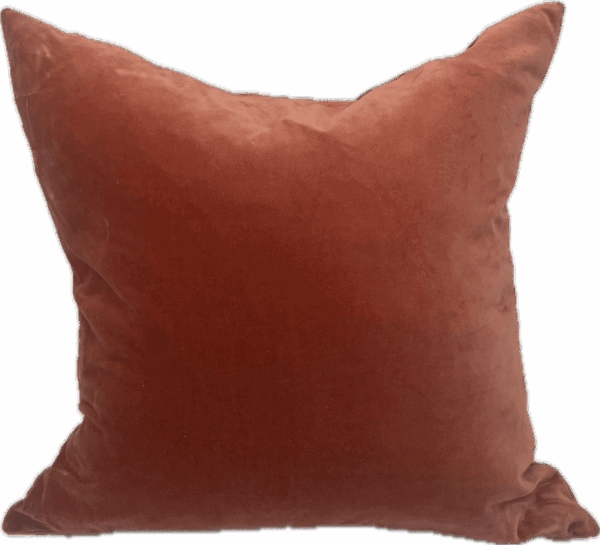 Rust Velvet Pillow