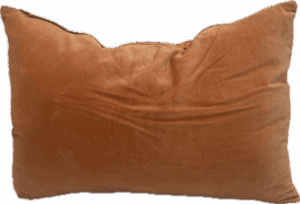 Orange Velvet Lumbar Pillow