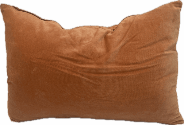 Orange Velvet Lumbar Pillow