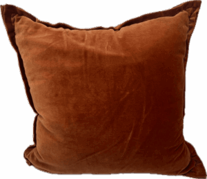 Large Rust Velvet Pillow