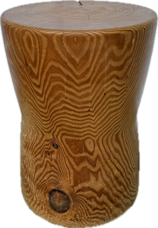 Rustic Tree Ring Table