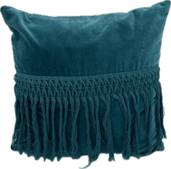 Velvet Fringe PIllow