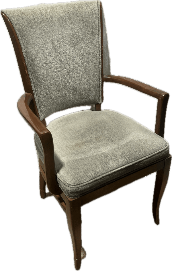 Taupe Ikat Dining Chair