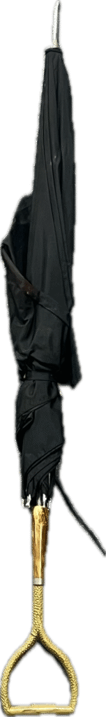 Black Umbrella with Gold Handle