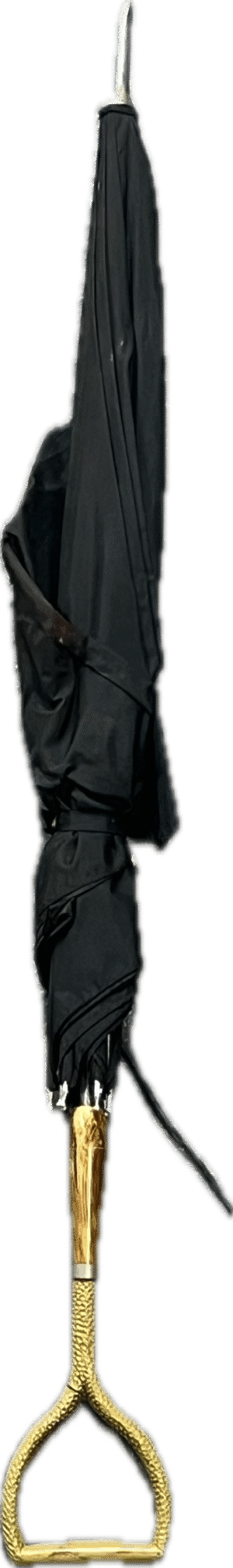 Black Umbrella with Gold Handle