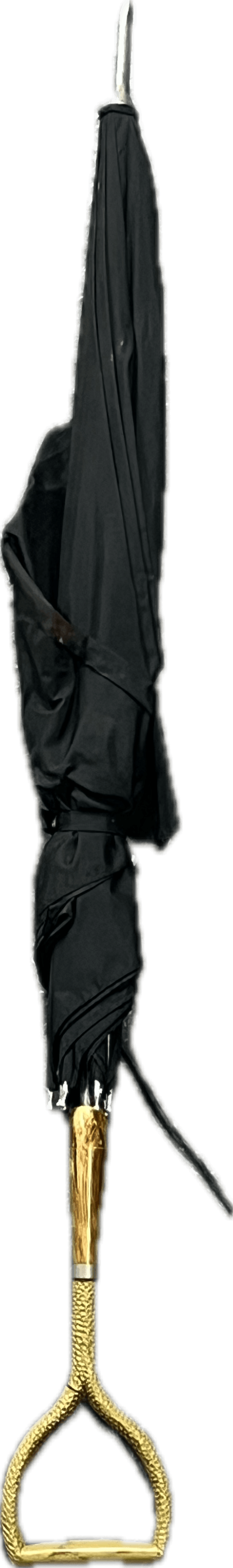 Black Umbrella with Gold Handle