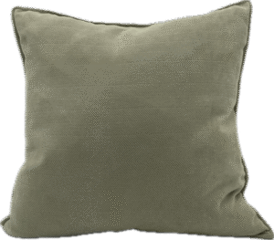 Sage Velvet Pillow