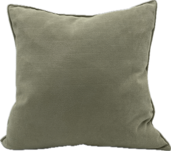Sage Velvet Pillow