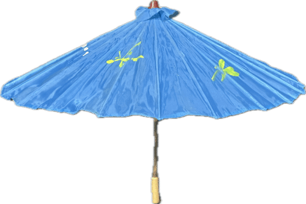 Hand Painted Parasol