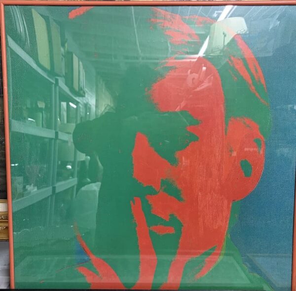Andy Warhol Framed Print