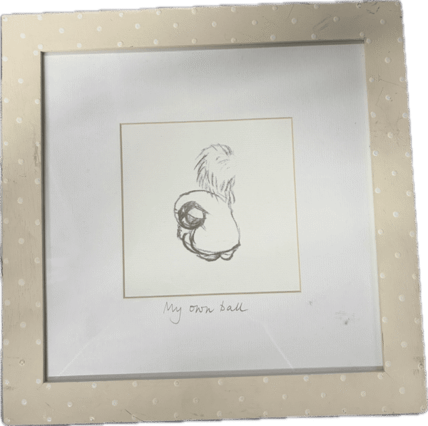 My Own Ball Framed Graphite Illustration