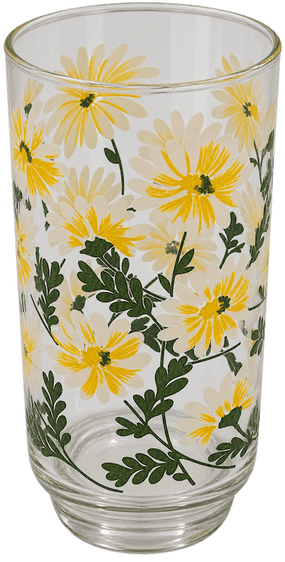 Vintage Libbey Daisy Glasses